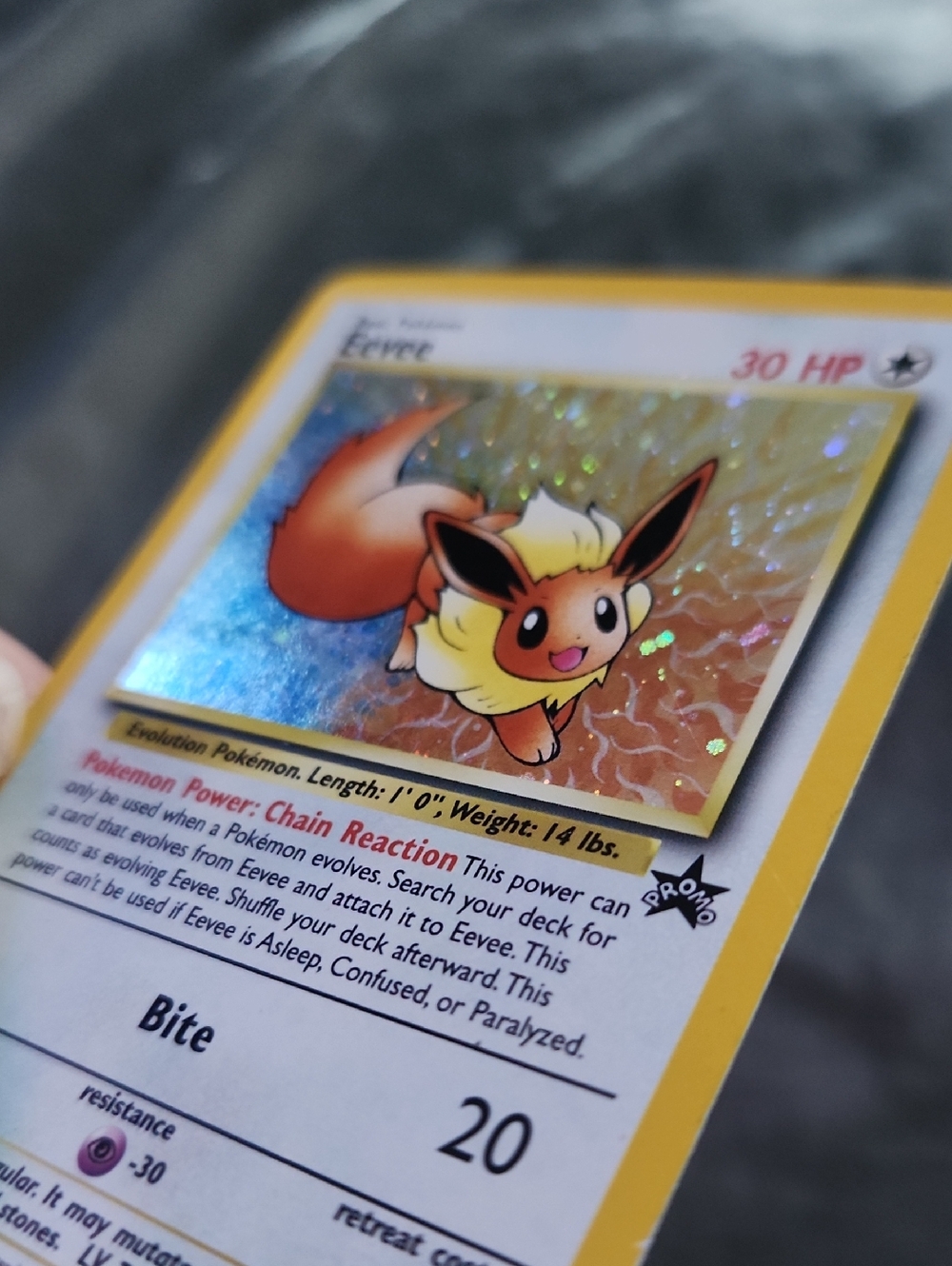 Pokemon Eevee Holographic Card - Yellow Border